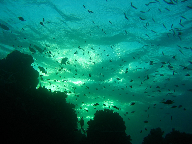 4876068051_bb3920404c_b